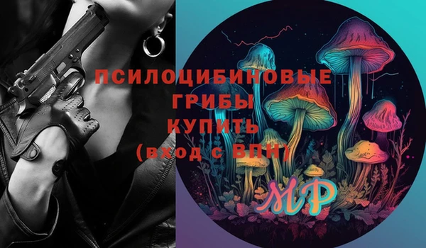 jwh Осинники